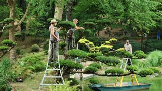 Au parc oriental de Maulévrier, es visiteurs découvrent, au cours de leur promenade, la taille en transparence, en plateaux, en moutonnement… ». Un site à voir dur France 5 le 2 août. ©Parc oriental Au parc oriental de Maulévrier, es visiteurs découvrent, au cours de leur promenade, la taille en transparence, en plateaux, en moutonnement… ». Un site à voir dur France 5 le 2 août. ©Parc oriental